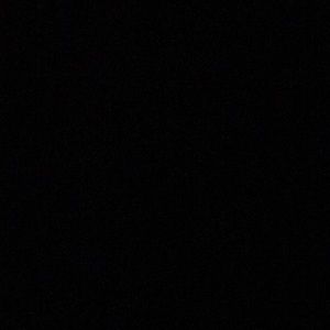 Meet your Posher, Beverly